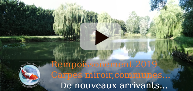 rempoissonement 2019